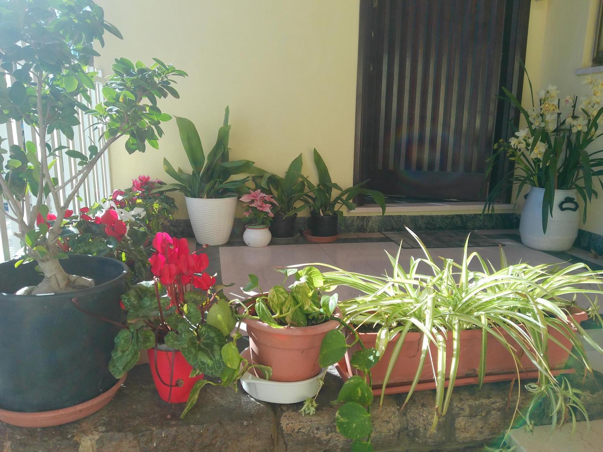 Cappuccini Apartments Oristano Zewnętrze zdjęcie